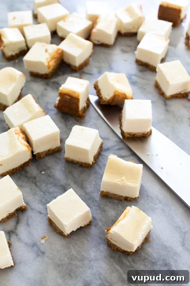 Chocolate-Covered Mini Cheesecake Bites: Bite-Sized Dessert Recipe 2 Bite Size Cheesecake Bites