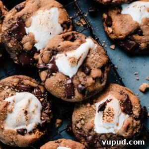S'mores Cookies with Gooey Marshmallow Centers 11 img 16450 10