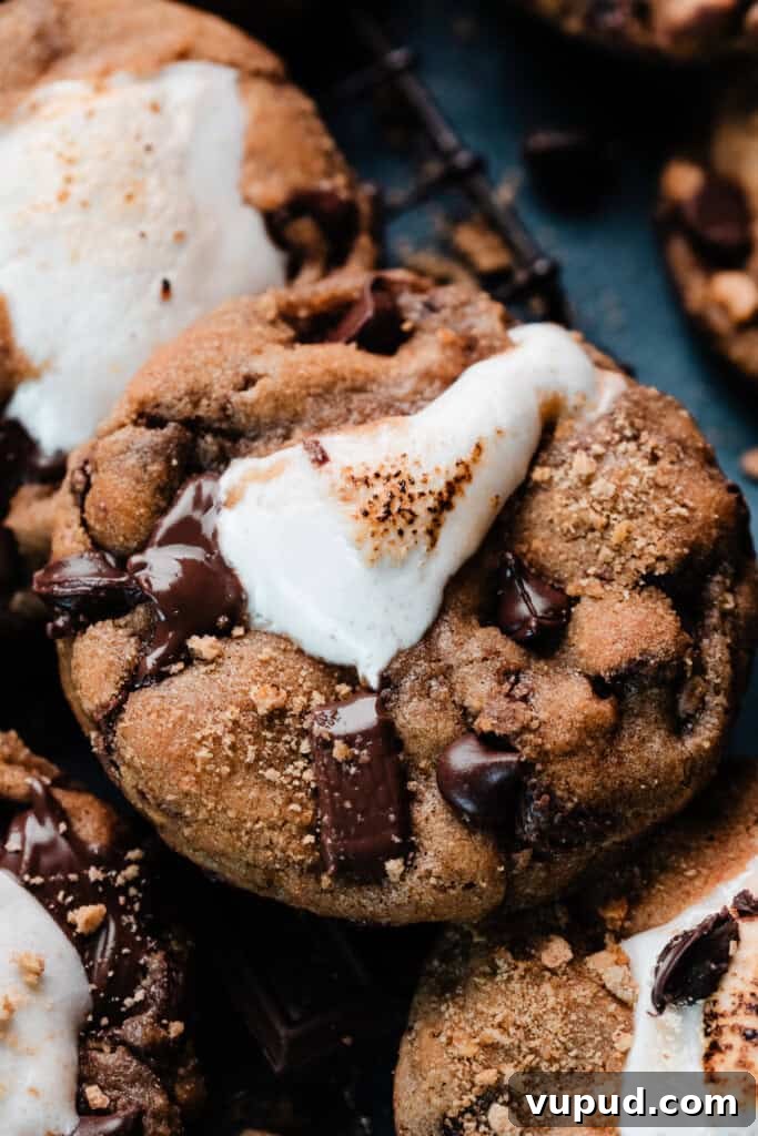 S'mores Cookies with Gooey Marshmallow Centers 9 A close-up on a s'mores cookie, with a gooey pocket of marshmallow oozing out of the center.