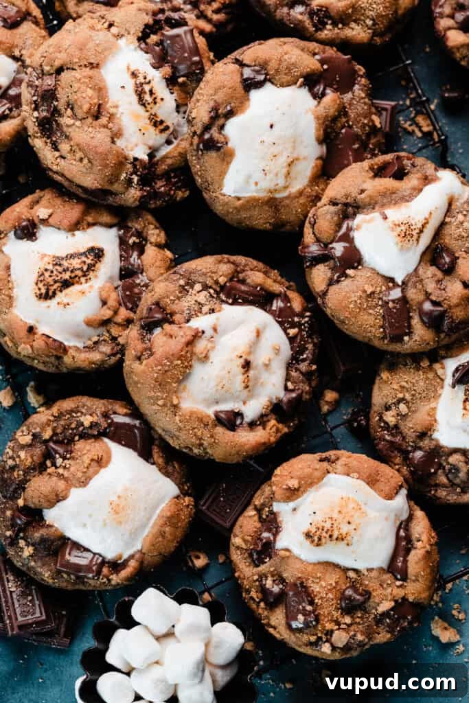 S'mores Cookies with Gooey Marshmallow Centers 10 Golden brown s'mores cookies on a vintage cooling rack.