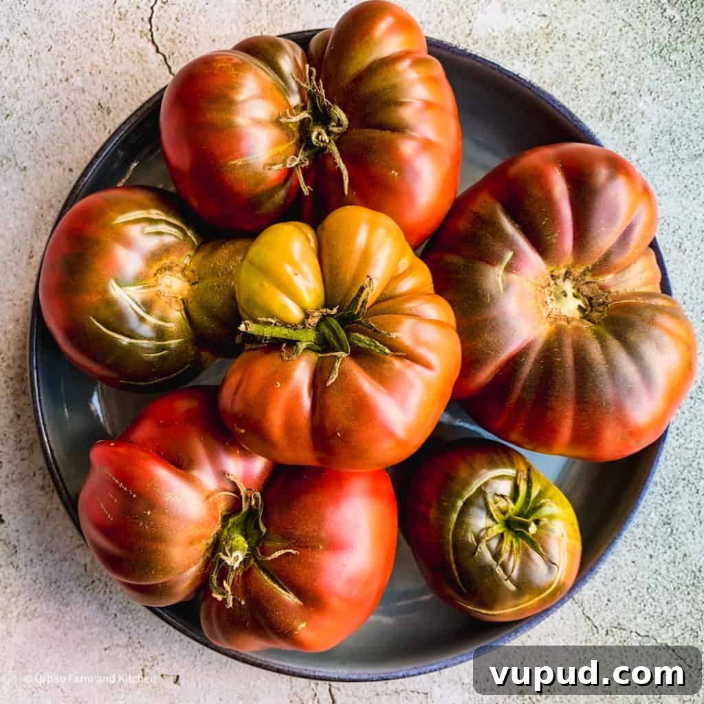 Top Tomato Varieties of 2020: Taste, Yield, and Growing Guide 12 black krim