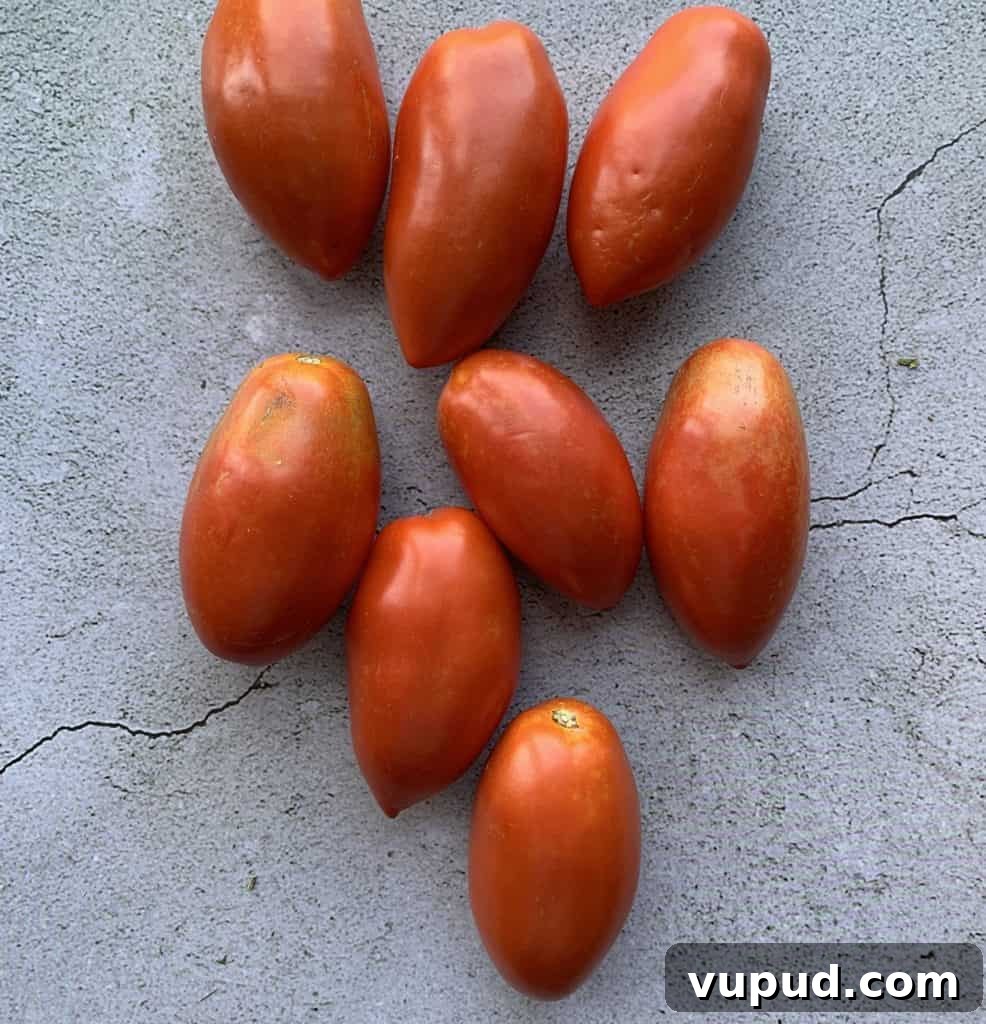 Top Tomato Varieties of 2020: Taste, Yield, and Growing Guide 17 Paisano tomato
