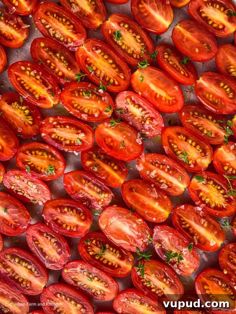 Top Tomato Varieties of 2020: Taste, Yield, and Growing Guide 9 juliet tomato