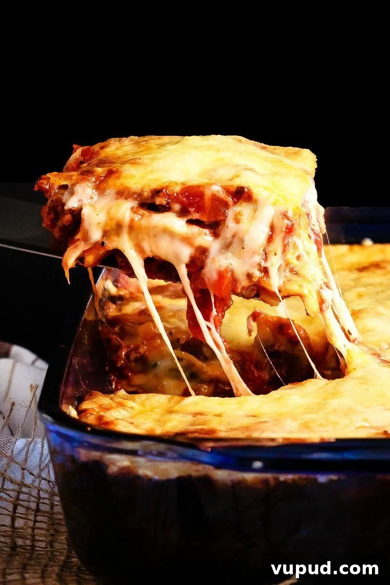 An easier and faster version of a favorite pasta dish, this ravioli lasagna is absolutely amazing. Quick to make and tastes like the real thing!