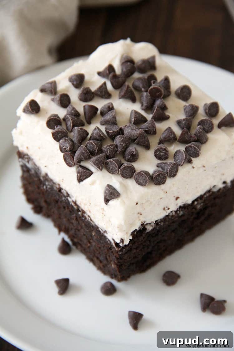 Cannoli Brownies - the best brownie recipe with Italian Cannoli Frosting Cannoli Brownie with frosting and chocolate chips on plate