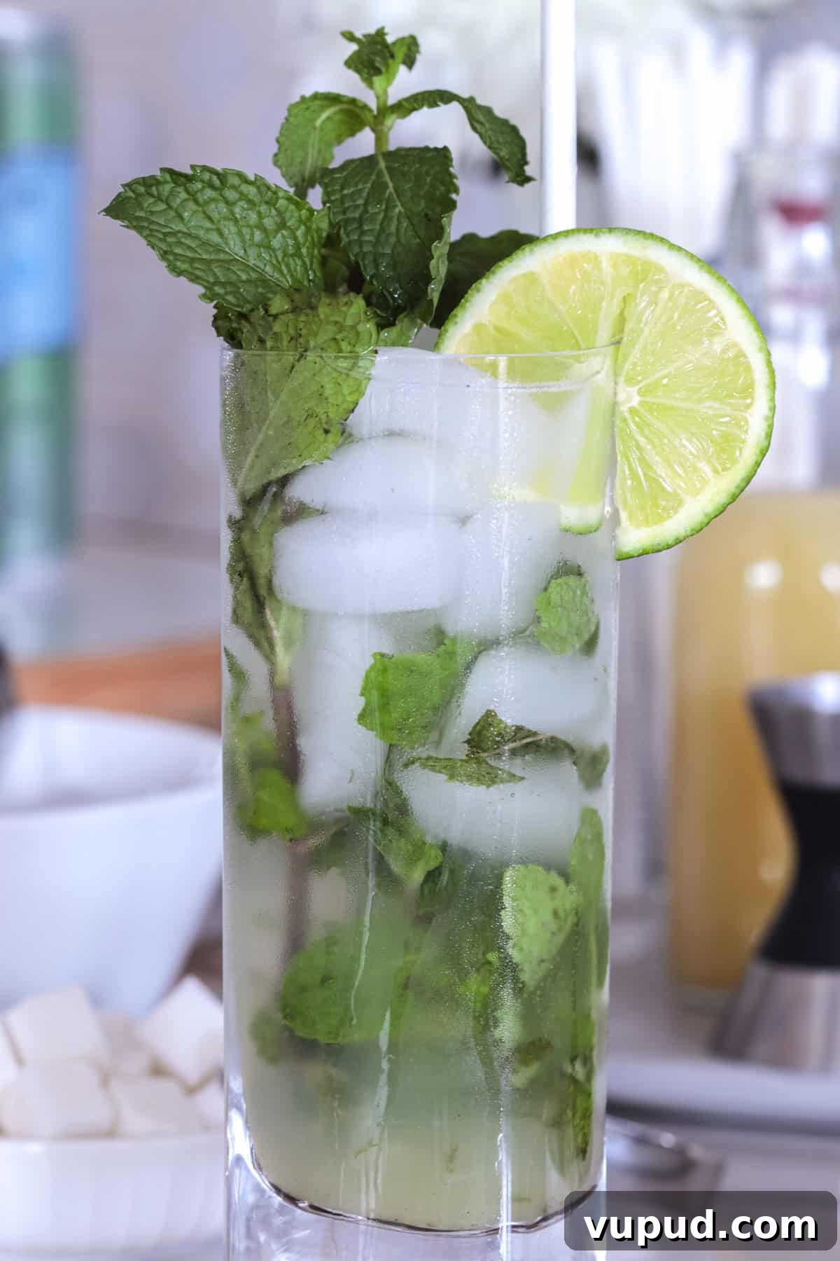 Mint Mojito Bar Ideas for Parties: DIY Setup & Refreshing Recipes 3 Mojito cocktail closeup.