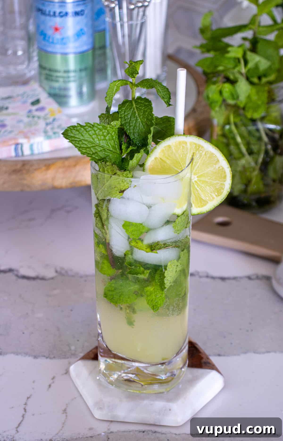Mint Mojito Bar Ideas for Parties: DIY Setup & Refreshing Recipes 9 Mojito on table.
