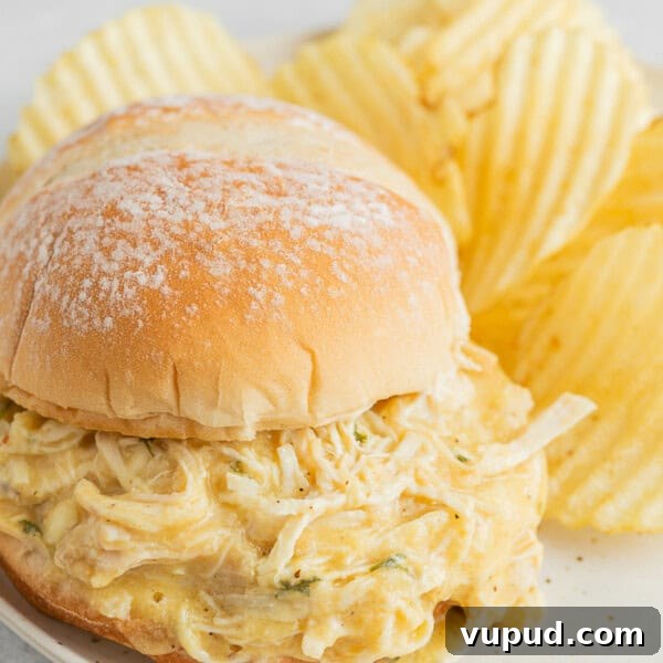 Classic Homemade Beef Meatloaf Recipe for Comforting Dinners 10 Ohio Shredded Chicken Sandwich