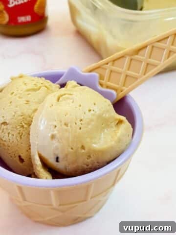 2 scoops of biscoff ice cream in a plastic bowl with a spoon.