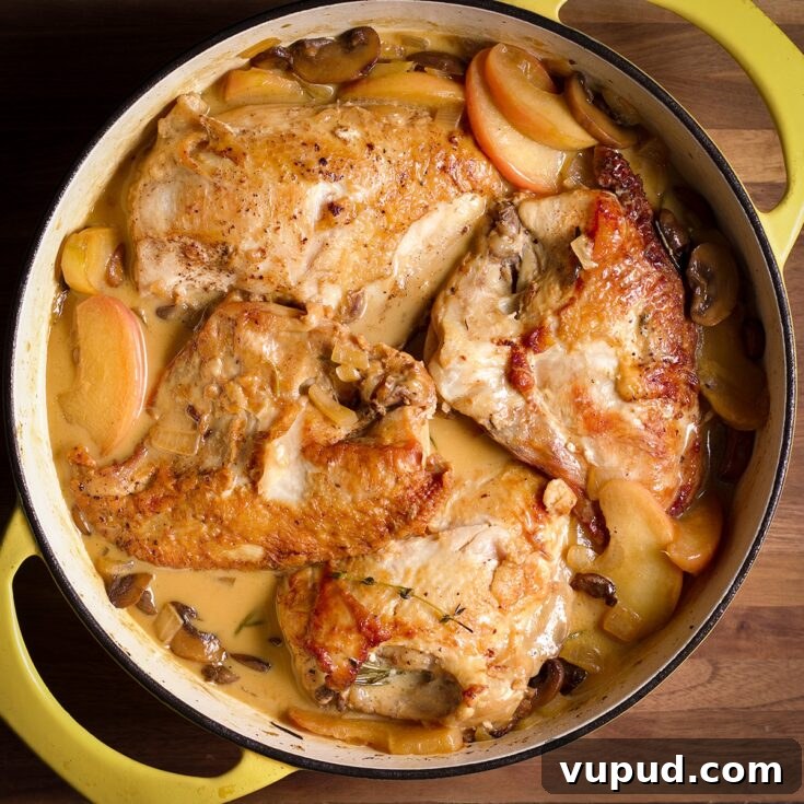 A pan filled with chicken in cider cream sauce.