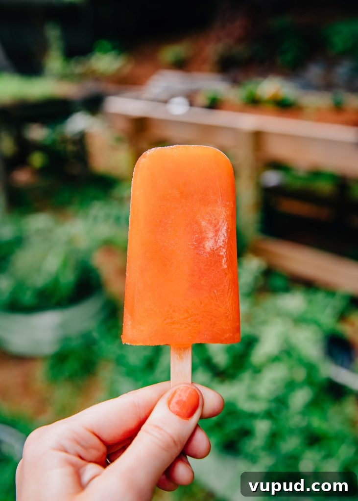 Aperol Spritz Popsicles Recipe: Refreshing Summer Cocktail Ice Pops 5 Aperol Spritz Popsicles | Well and Full | #summer #vegan #recipe #cocktails #vegetarian