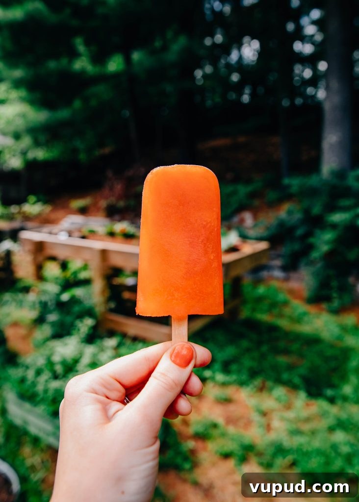 Aperol Spritz Popsicles Recipe: Refreshing Summer Cocktail Ice Pops 7 Aperol Spritz Popsicles | Well and Full | #summer #vegan #recipe #cocktails #vegetarian