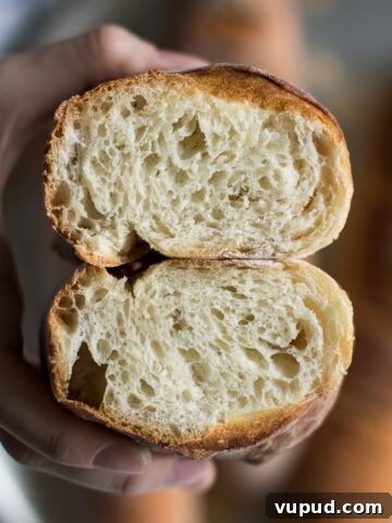 close up of cut baguette showing its insides