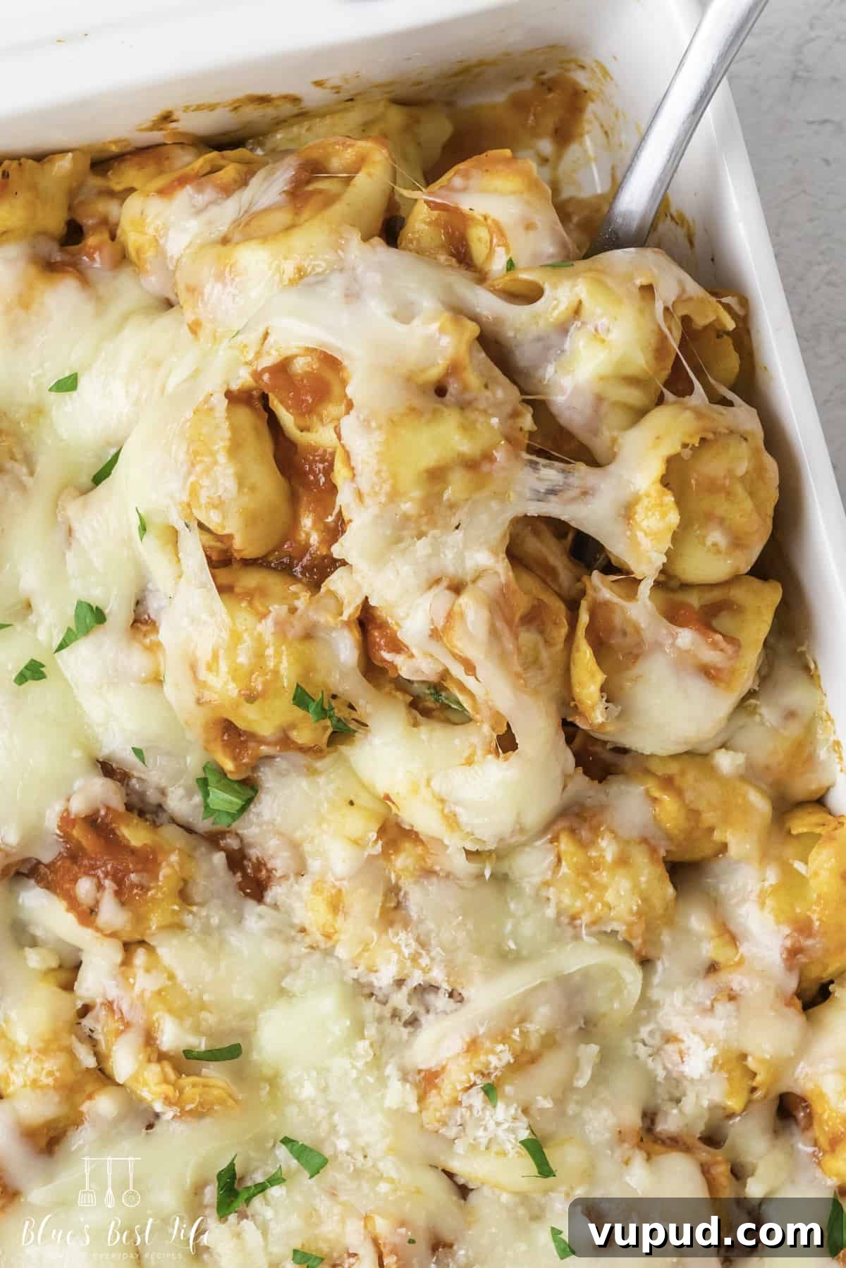 Cheesy Tortellini Casserole Bake with Garlic Parmesan Crust 7 A close-up shot of the tortellini casserole pasta in a baking tray.