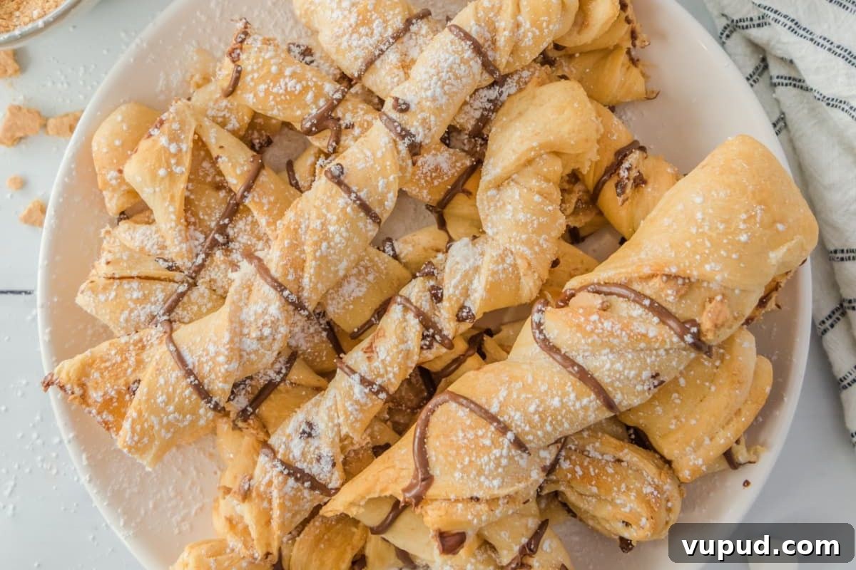 24 Irresistible S'mores Recipes to Enjoy All Year Long 11 A plate of freshly baked s'mores croissants dusted with powdered sugar and drizzled with chocolate.