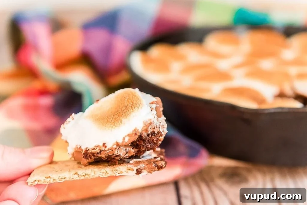 24 Irresistible S'mores Recipes to Enjoy All Year Long 12 A dip of brownie s'more dip on a graham cracker
