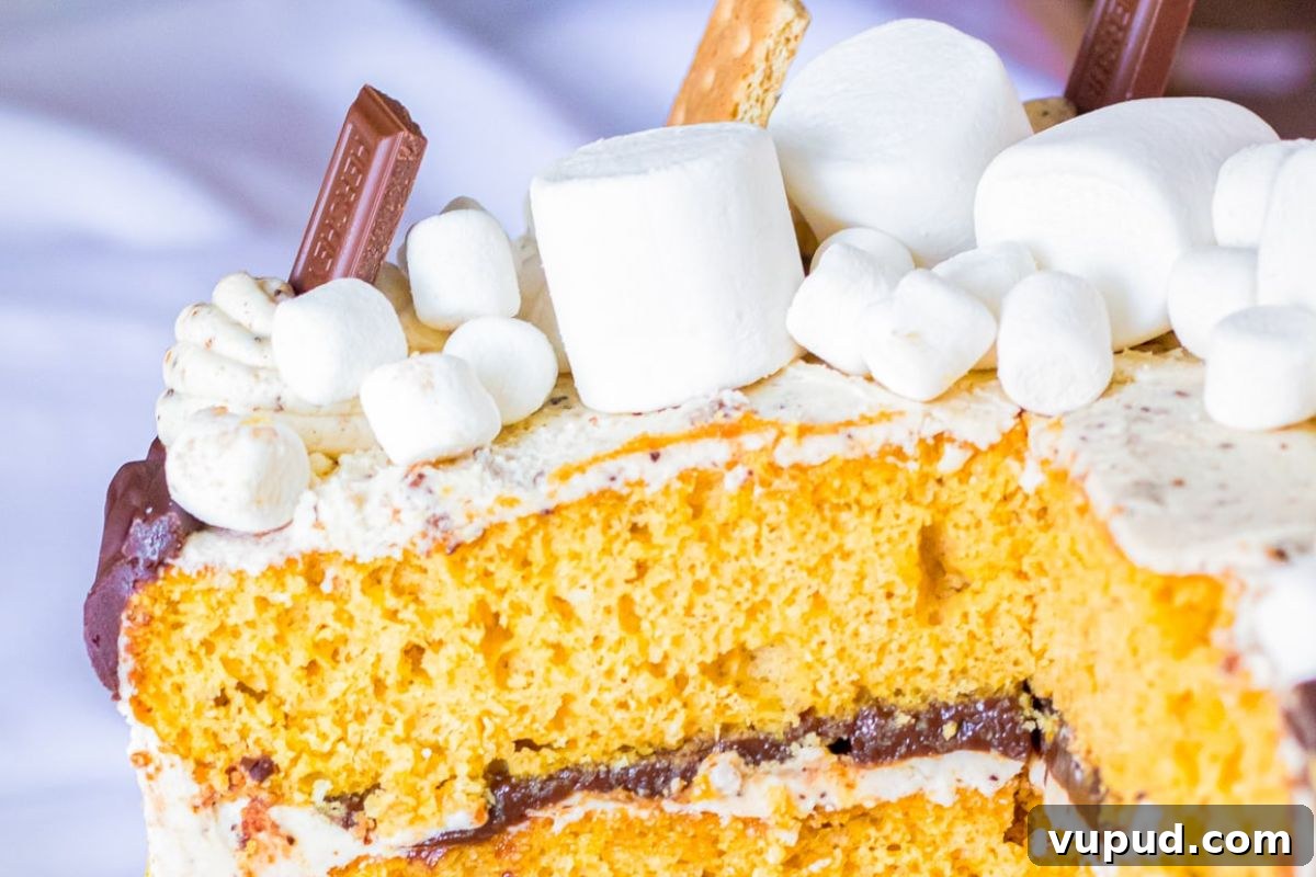 24 Irresistible S'mores Recipes to Enjoy All Year Long 14 A partly sliced layer cake with marshmallows and chocolate pieces on top.