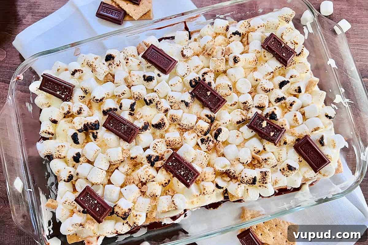 24 Irresistible S'mores Recipes to Enjoy All Year Long 15 A dish of easy cake recipes s'mores dip with toasted marshmallows, chocolate pieces, and crumbled cookies on top.