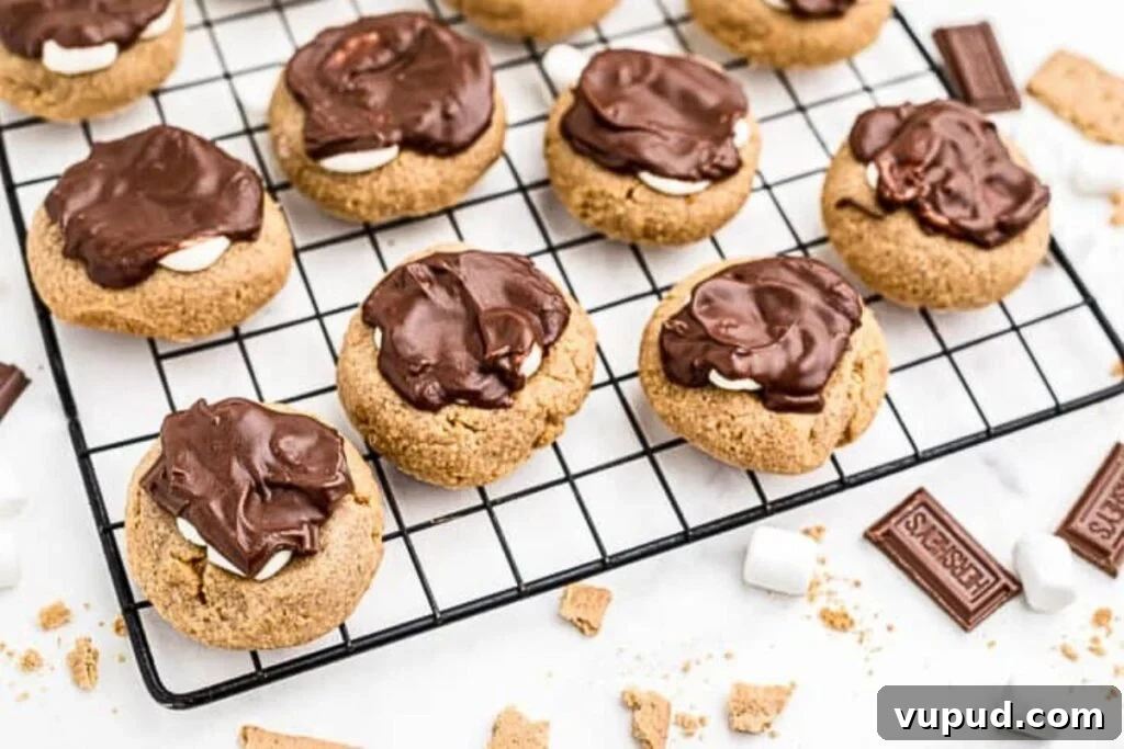 24 Irresistible S'mores Recipes to Enjoy All Year Long 20 Thumbprint cookies with a gooey s'mores filling.