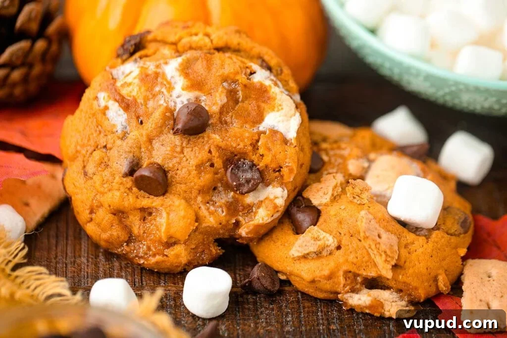 24 Irresistible S'mores Recipes to Enjoy All Year Long 6 Homemade pumpkin cookies on a plate.