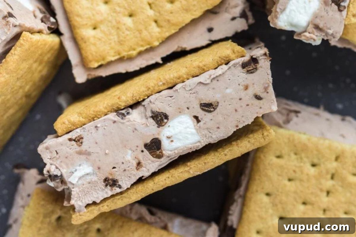 24 Irresistible S'mores Recipes to Enjoy All Year Long 10 S'mores graham crackers with chocolate chip ice cream sandwiched between them.