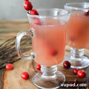 Wassail Punch