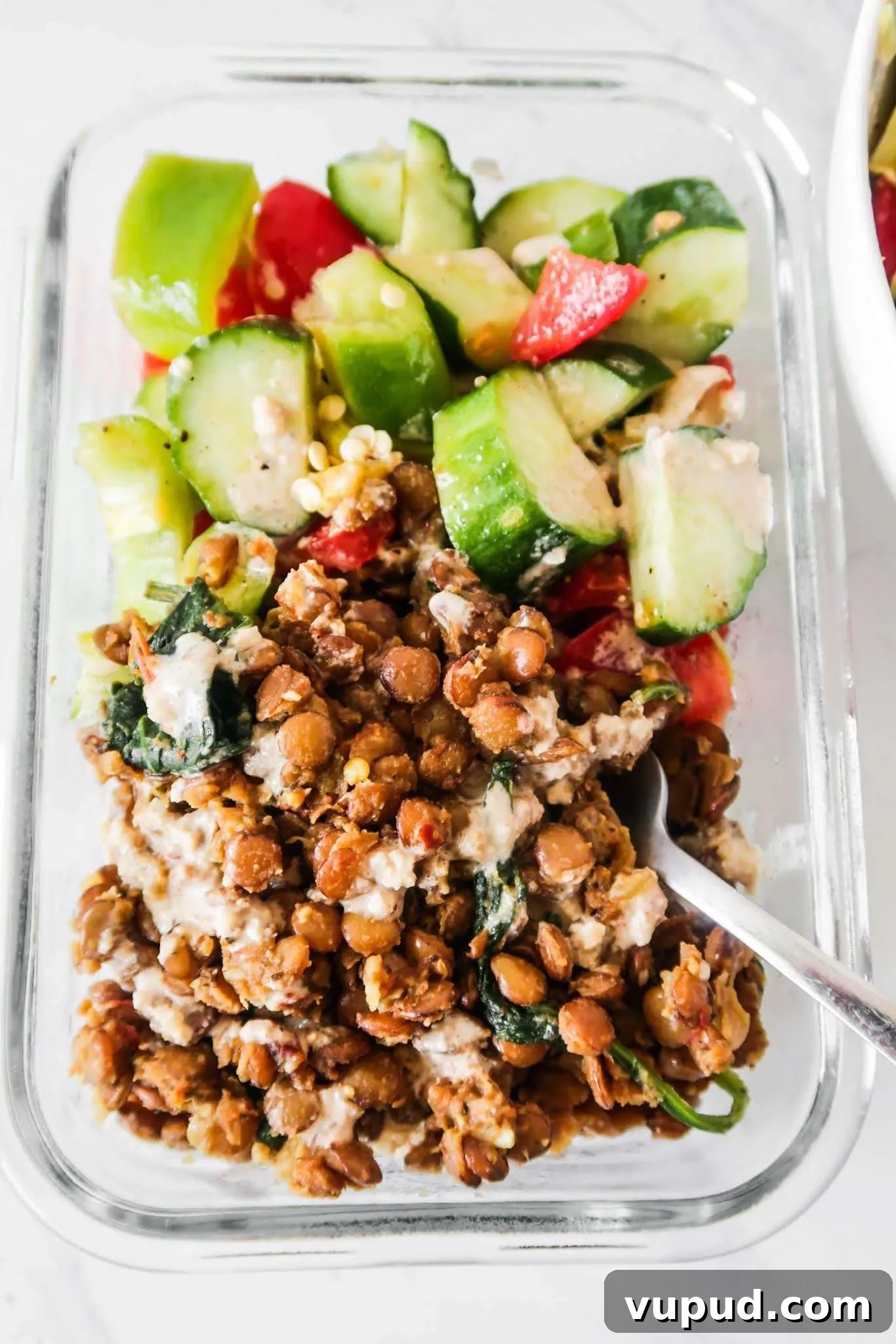 30-Minute Vegan Dinners: 15 Flavorful Recipes for Weeknights 3 healthy vegan lentil bowls recipe - easy vegan dinner