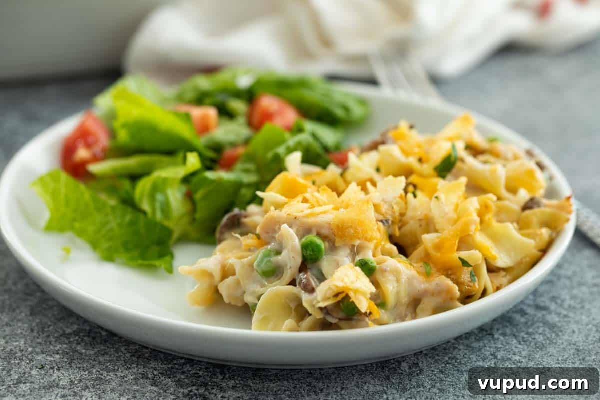 Tuna Casserole Plate with Tuna Casserole and Salad