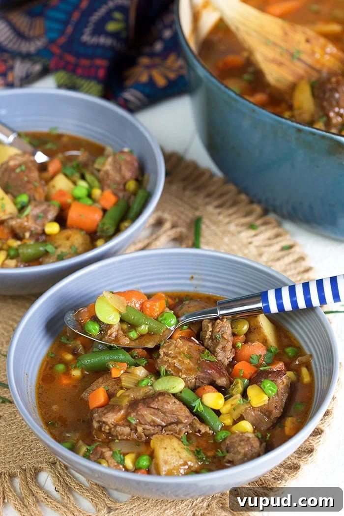 Beef Stew in a gray bowl with a blue and white striped spoon.