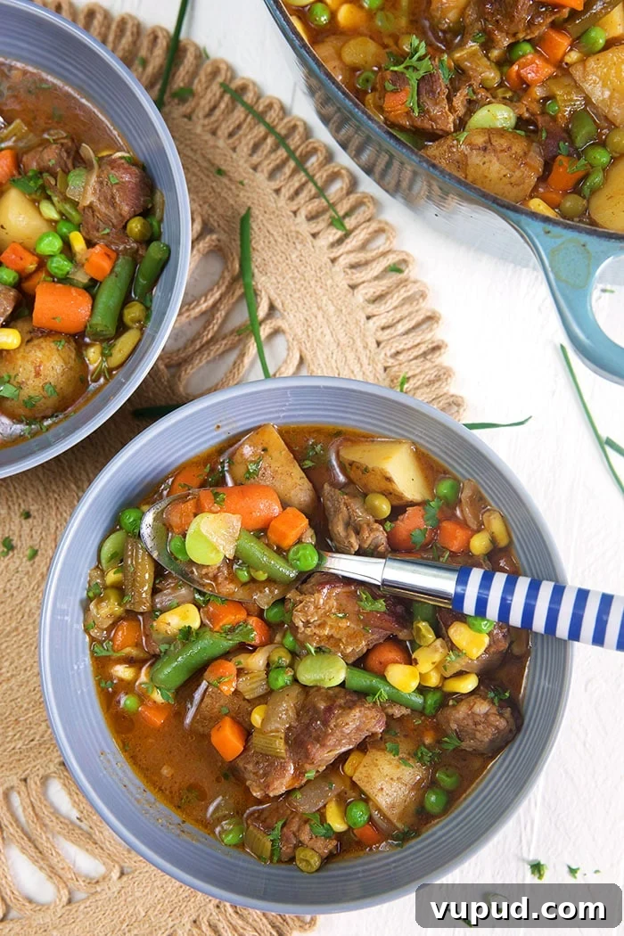 overhead shot of two bowls of mulligan stew on a white background.