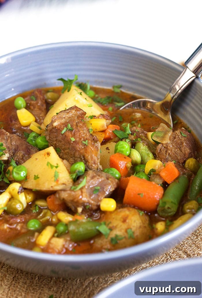Close up of Mulligan stew in a gray bowl with a spoon.