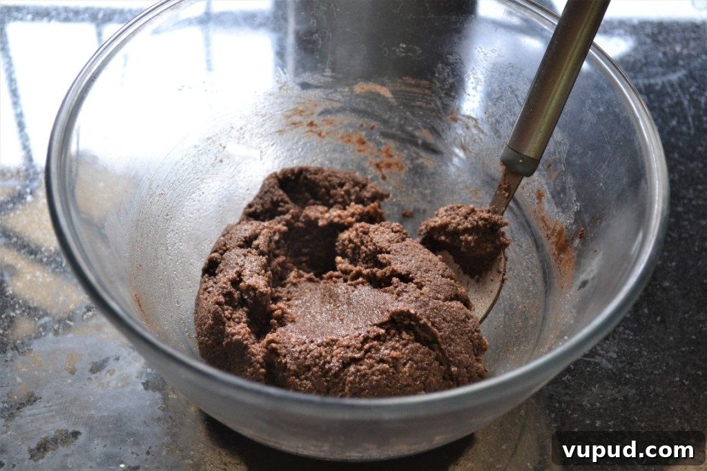 Sondesh Cake Recipe: How to Make Bengali Sweet Cake at Home 11 img 25167 13
