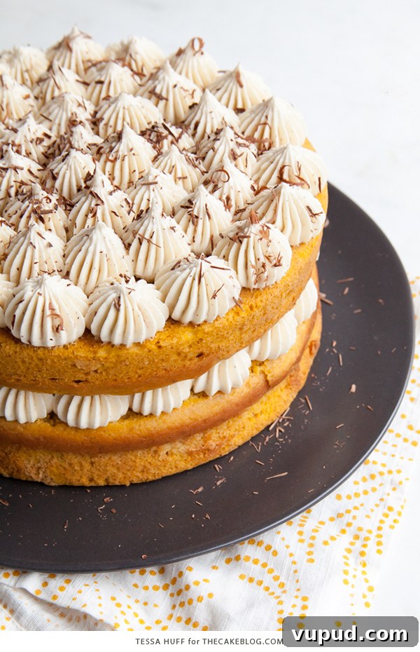 Pumpkin Tiramisu Cake Recipe — Autumn-Inspired Dessert Tutorial 3 Pumpkin Tiramisu Cake - pumpkin spice cake soaked with coffee liqueur, fluffy mascarpone frosting and chocolate shavings | Tessa Huff for TheCakeBlog.com