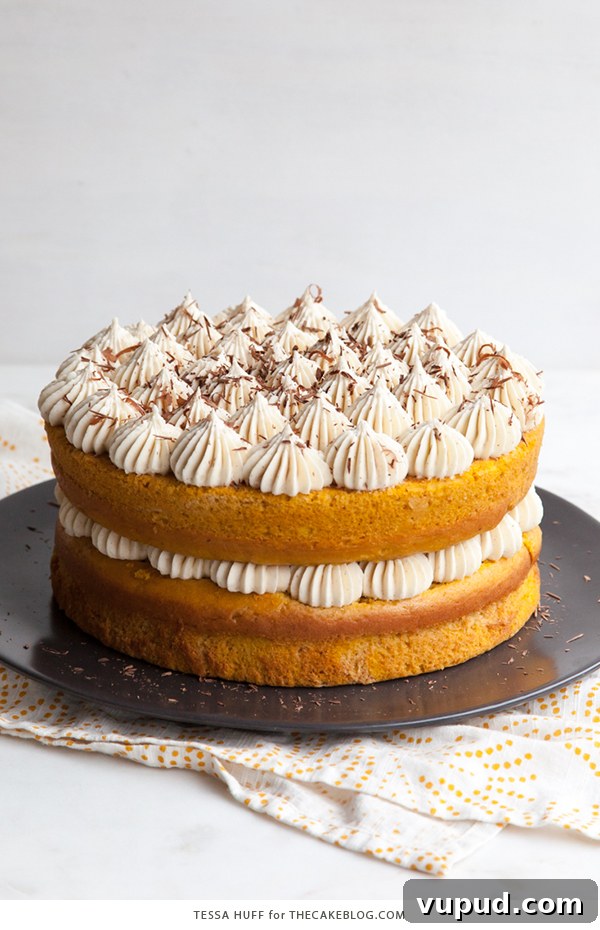 Pumpkin Tiramisu Cake Recipe — Autumn-Inspired Dessert Tutorial 4 Pumpkin Tiramisu Cake - pumpkin spice cake soaked with coffee liqueur, fluffy mascarpone frosting and chocolate shavings | Tessa Huff for TheCakeBlog.com