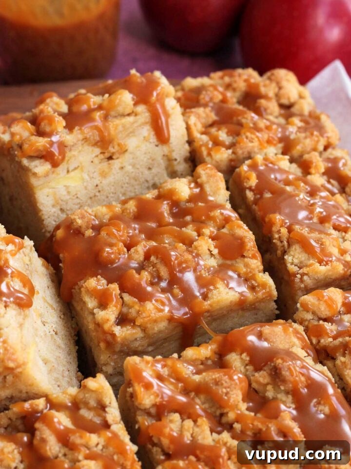 Brown Butter Caramel Apple Crumb Cake Recipe 10 caramel apple crumb cake with salted caramel drip