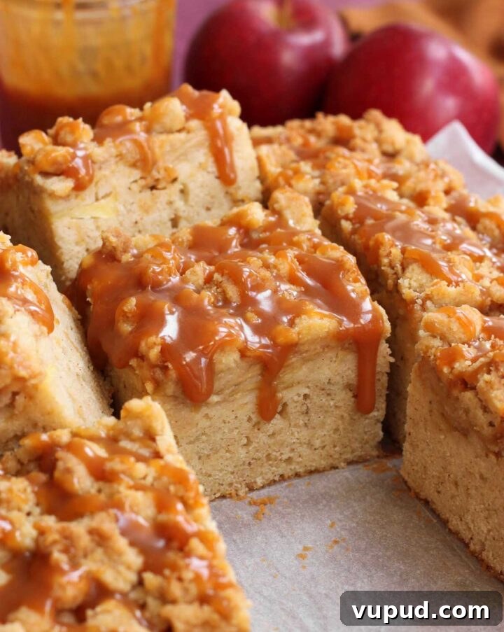 Brown Butter Caramel Apple Crumb Cake Recipe 9 caramel apple crumb cake with salted caramel drip