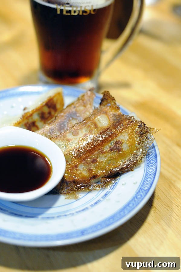 Temples and Tempura: Kyoto’s Top Cultural Sites and Must-Try Eats 13 gyoza at japanese restaurant Tokyo