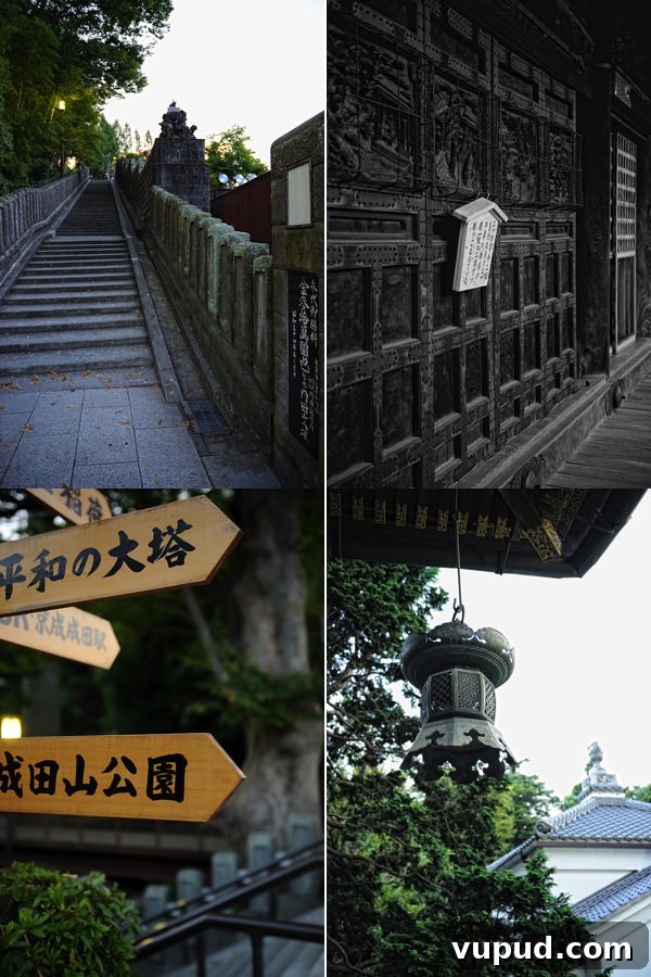 Temples and Tempura: Kyoto’s Top Cultural Sites and Must-Try Eats 4 img 265 3