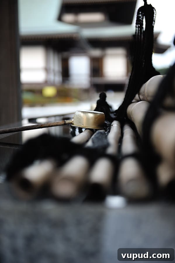 Temples and Tempura: Kyoto’s Top Cultural Sites and Must-Try Eats 6 img 265 5