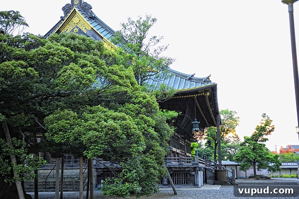 Temples and Tempura: Kyoto’s Top Cultural Sites and Must-Try Eats 7 img 265 6