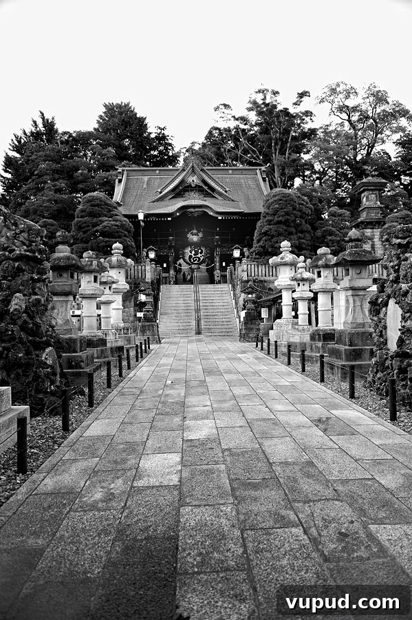 Temples and Tempura: Kyoto’s Top Cultural Sites and Must-Try Eats 8 Naritasaan