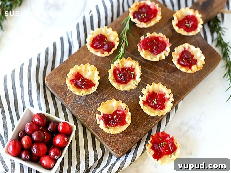 27+ Festive Christmas Finger Food Appetizers for Holiday Parties 8 Bite-sized cranberry appetizers for the holidays