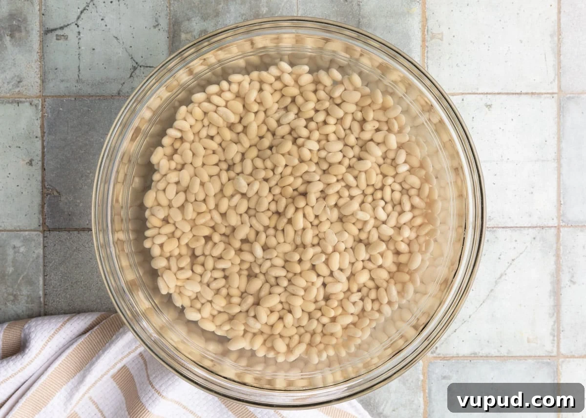 Classic Ham and Bean Soup Recipe for Comforting Weeknight Meals 5 navy beans soaked in water in a glass bowl on a gray tile surface next to a white and ivory striped dish cloth