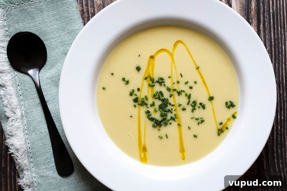 20 Comforting Soup Recipes to Warm Your Soul 7 Vegan Potato And Leek Soup