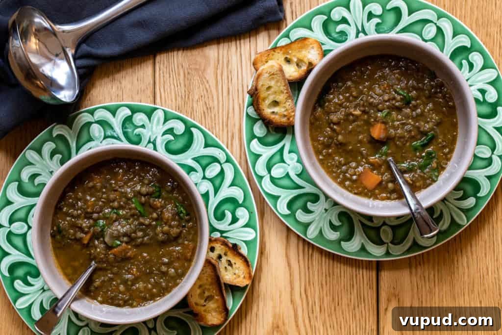 20 Comforting Soup Recipes to Warm Your Soul 8 French Lentil Soup