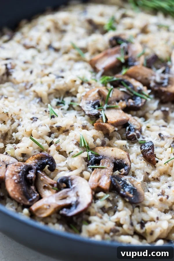 Creamy Mushroom Risotto with Rosemary and Parmesan 2 risotto made with mushrooms in a pan