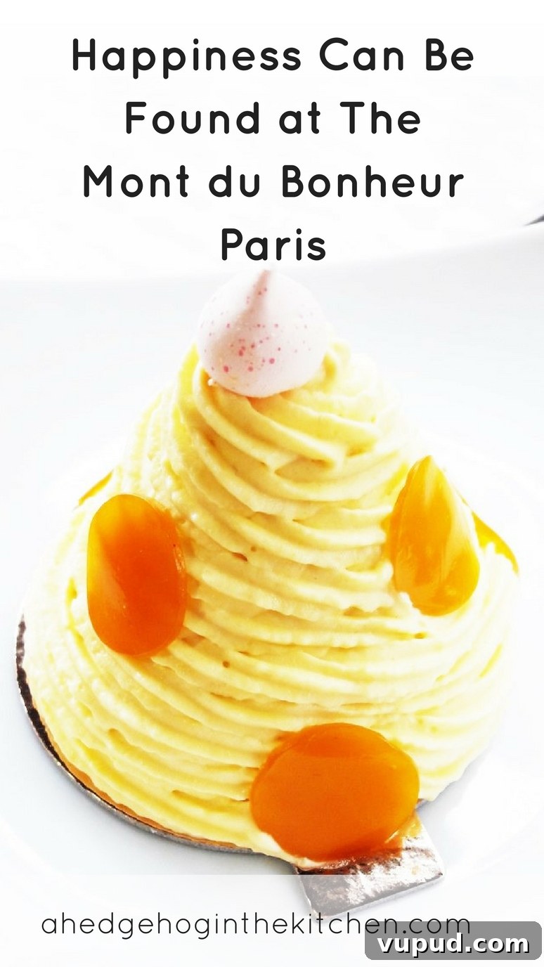 Discover Joy at Le Mont du Bonheur in Paris’ Le Marais 3 Happiness Can Be Found at The Mont du Bonheur Paris. An entire pastry shop dedicated to the delicious Mont Blanc pastry!