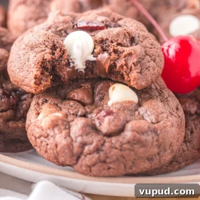 Black Forest Cookies feature
