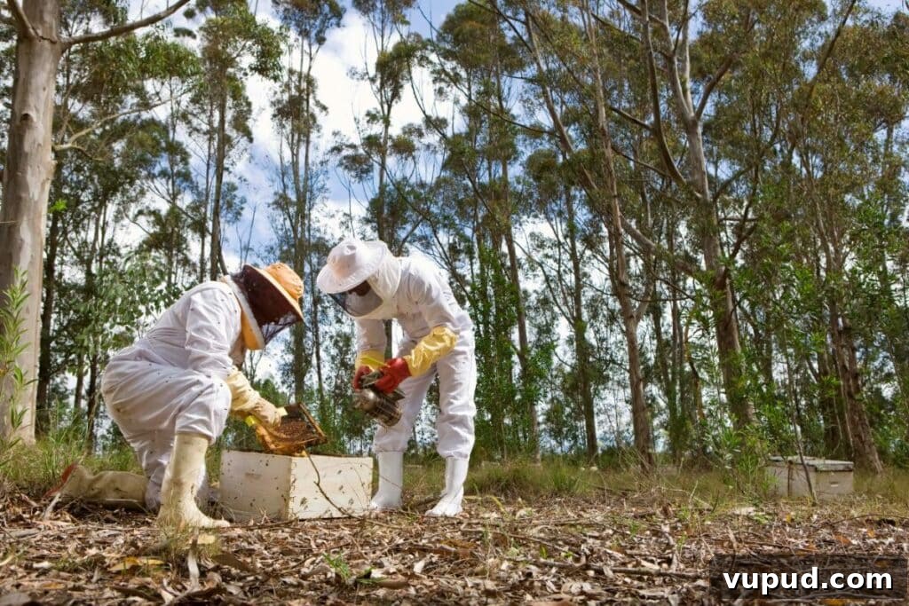 Starter Guide to Essential Beekeeping Gear and Equipment 2 Two beekeepers in full protective suits working together outdoors, inspecting a hive frame and using a smoker to calm the bees in a forested area.