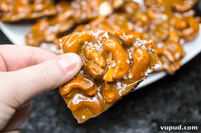 30+ Holiday Dessert Recipes from Around the World for Festive Tables 7 Sea Salt Cashew Brittle